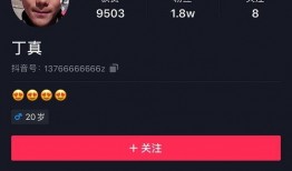 爆料博主被撞事件视频播放,惊险瞬间！博主被撞事件视频引发网友热议