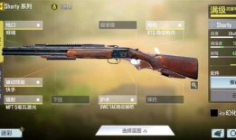 使命召唤最新爆料新枪,神秘新枪震撼登场，性能解析与实战前瞻